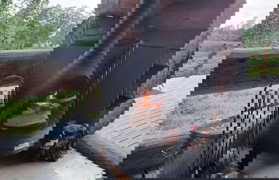 Villa Kaunisvirta - Photo 30