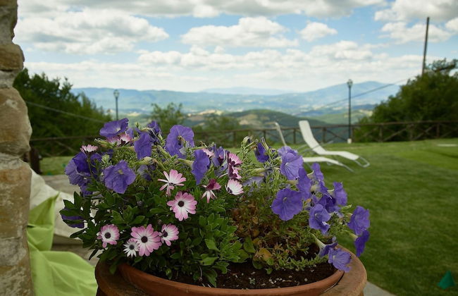 Villa Panorama - Photo 38