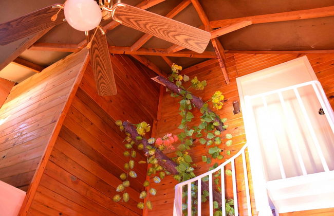 Los Altos de Constanza - Foto 17