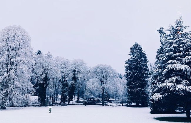 Castle in Ferrieres With Pond Garden - Photo 38