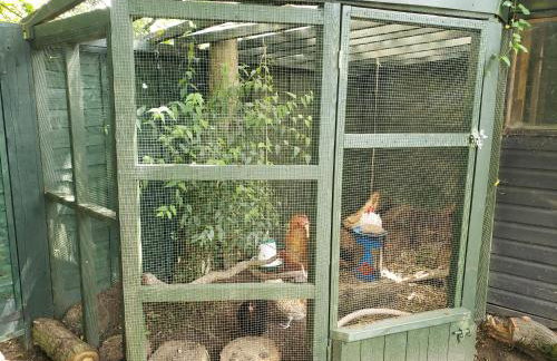 Luxury Self-Catering and Sauna - Oaks Rest - Foto 28