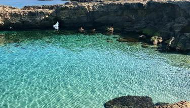 Masseria Bosco Mazza - Foto 5