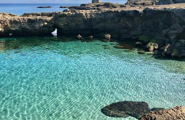 Masseria Bosco Mazza - Foto 5