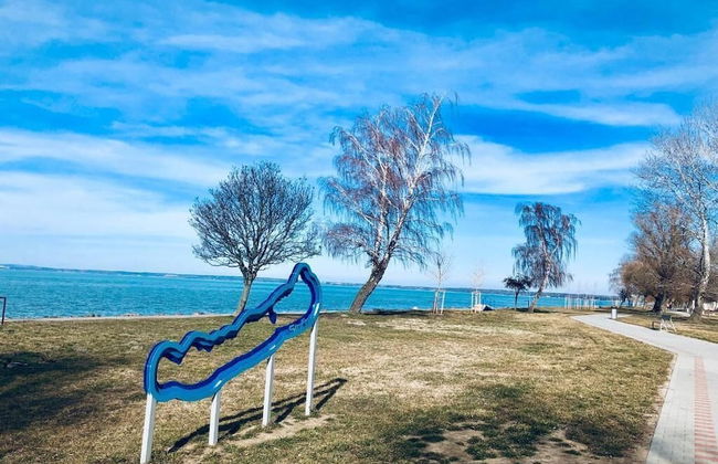 Villa Oliver 3 Siófok - Foto 36