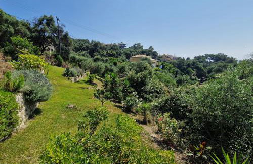 Villa Olivia - Photo 48