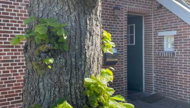 Ferienhaus Norderwieke - Foto 5