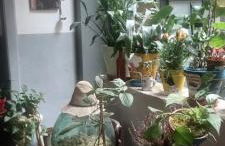 Casa Baglioni - Photo 31