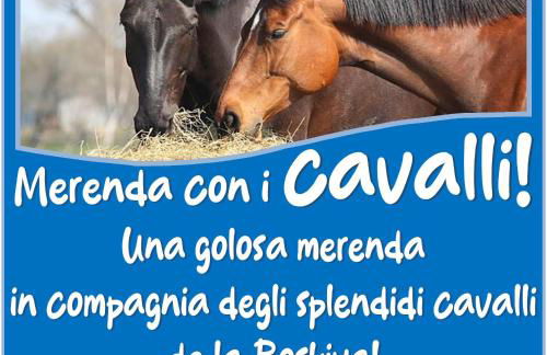 Chalet Presanella - Foto 54