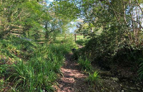 Bittles Cottage - Photo 25