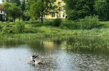 Landidylle auf dem Rittergut - Foto 7