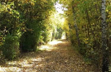 SeeStern Strandnahe Wohnung in Hohen Wieschendorf - Foto 39