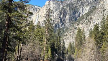 Cozy Cub Cabin, brand new home near Yosemite - Foto 2