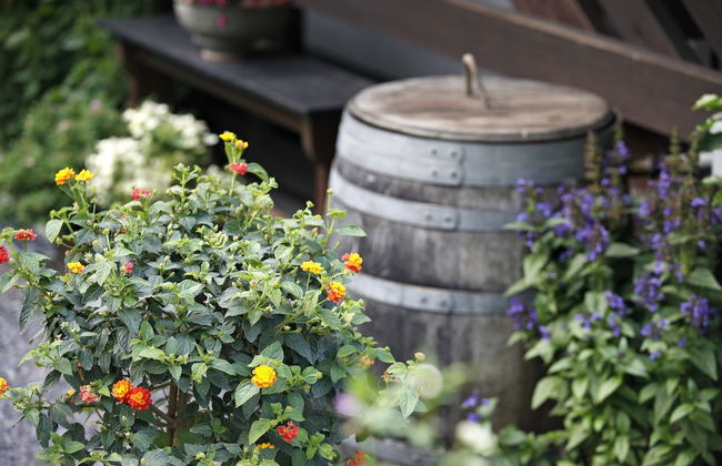 Chalet am Birkenhain - Foto 46