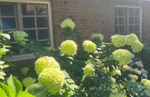 Meerlust Spiekeroog - Foto 28