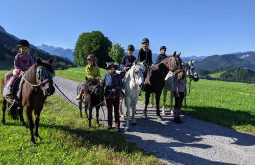 Ponyhof Schöllang - Foto 20