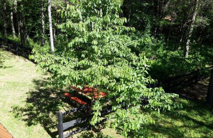 Plitvice Lakes Holiday Lodge - Foto 25