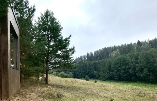 Na skraju gaju - Foto 41