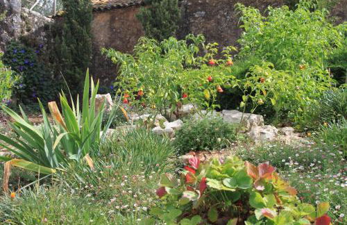 Quinta de São João - Foto 74