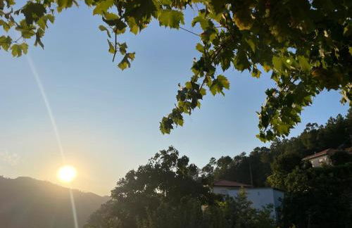 Quintinha de Pinouco - Foto 49