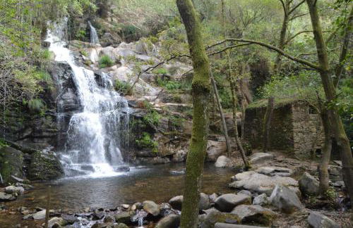 Casa do Ribeiro - Foto 40