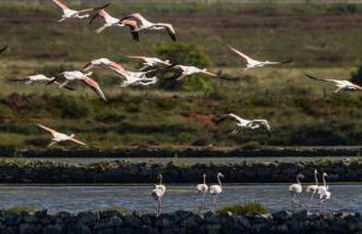 Casa Paraiso - Foto 25