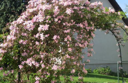 LES BRIMBELLES - Photo 20