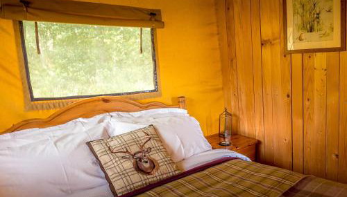 Tent 1 Deerland - Ukc4716 - Foto 4