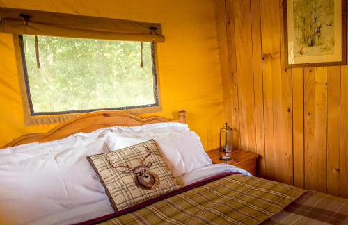 Tent 1 Deerland - Ukc4716 - Foto 4