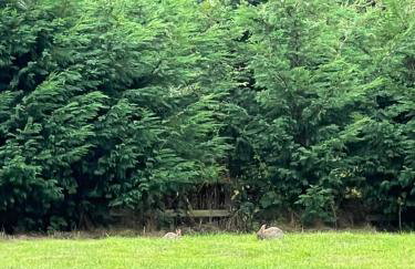 West House Mews A - Foto 7