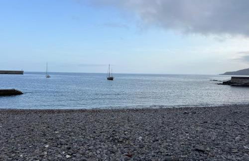 Caniçal houses - Madeira - Photo 1