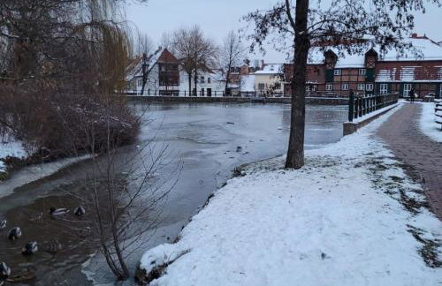 Ferienhaus am Mühlenteich - Foto 13