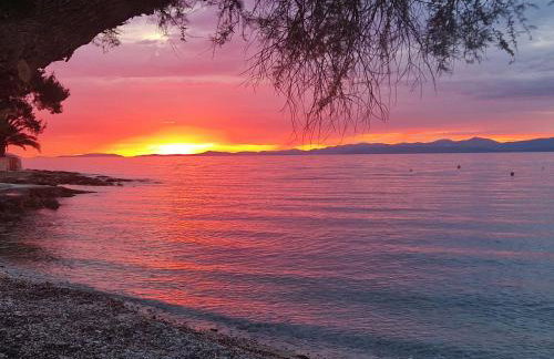 Apartments Vera - Mirca - Photo 24