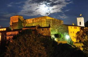 El Portalet de Can Rialla - Photo 42