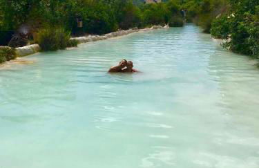 Grove Cottage: Immersed in nature & close to town - Photo 17