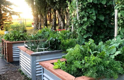 The Little Farmhouse at Oostema Farmstead - Foto 31