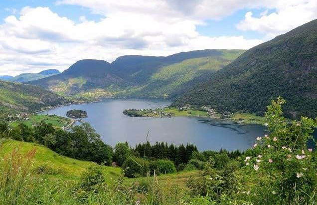 Boat Trip on the Barsnesfjorden & Årøy River - Photo 5