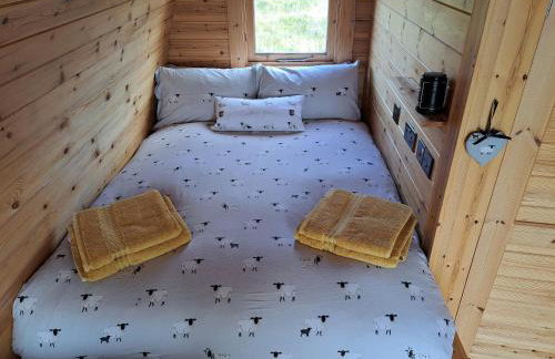 Shiskine Pod - Foto 4