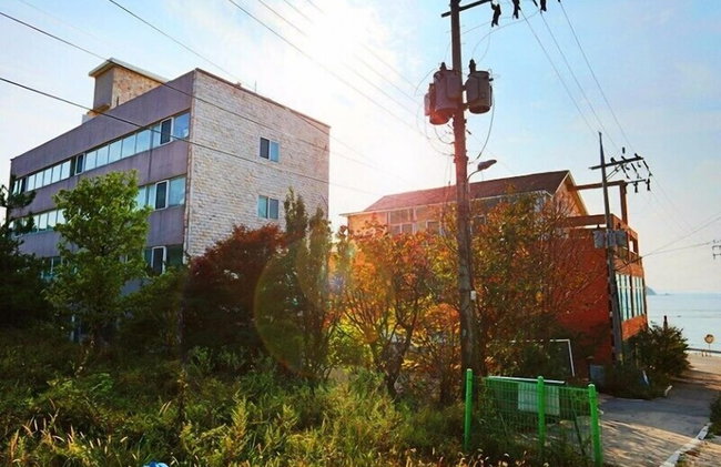 Yeongheungdo Seayard Pension - Foto 19