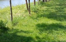 Zacisze Nad Stawami - Foto 24