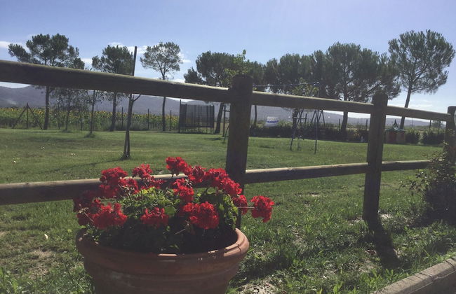 Agriturismo Terra di Cortona - Foto 36