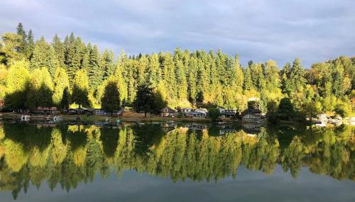 Ohop Lake Escape - Foto 5