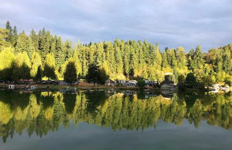 Ohop Lake Escape - Foto 5