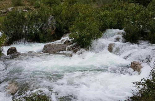 NAPAIMBE Sierra - Foto 37