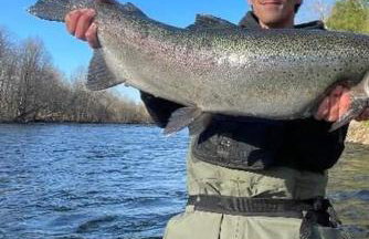 Schoolhouse Suite - Foto 20