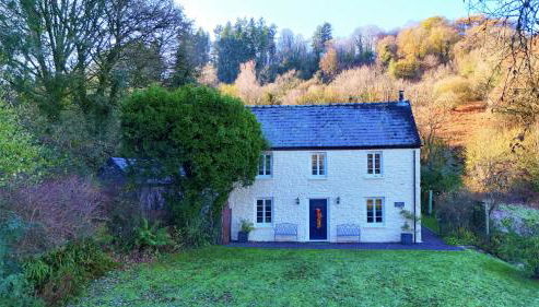 Tintern Abbey Cottage-amazing Abbey view, EV,5star - Foto 4