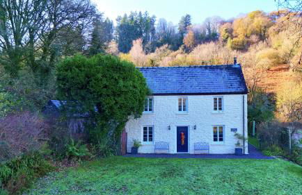 Tintern Abbey Cottage-amazing Abbey view, EV,5star - Foto 4