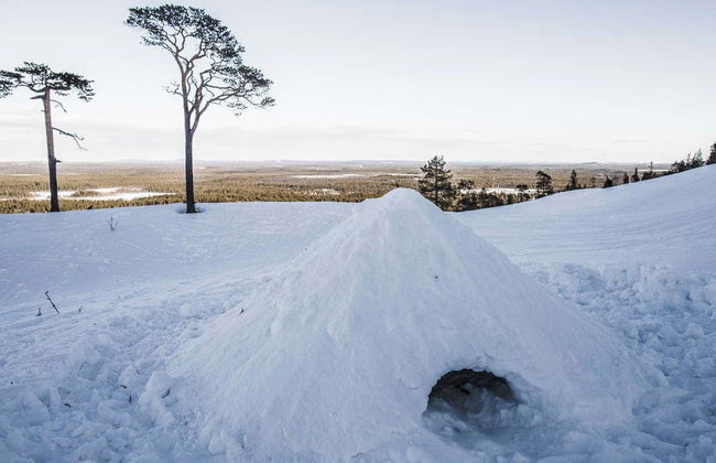 Curso de supervivencia en el Parque Nacional Pyhä-Luosto - Foto 5