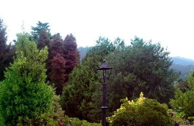 Slow House y La cabaña de Miss Slower - Foto 7