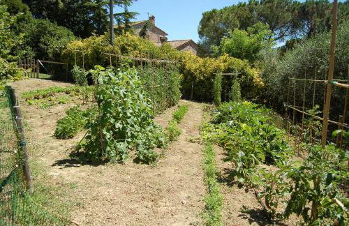 Agriturismo Casale dei Frontini - Photo 111