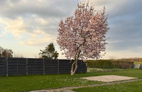 Comfy House Erftstadt - Foto 5